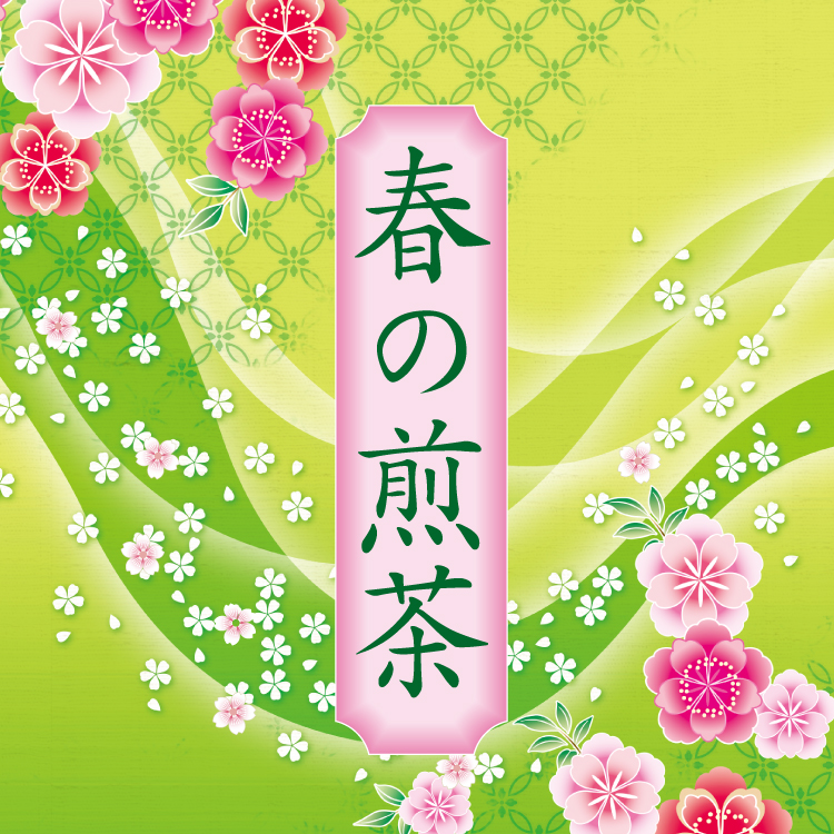 春の煎茶