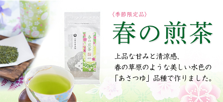 春の煎茶