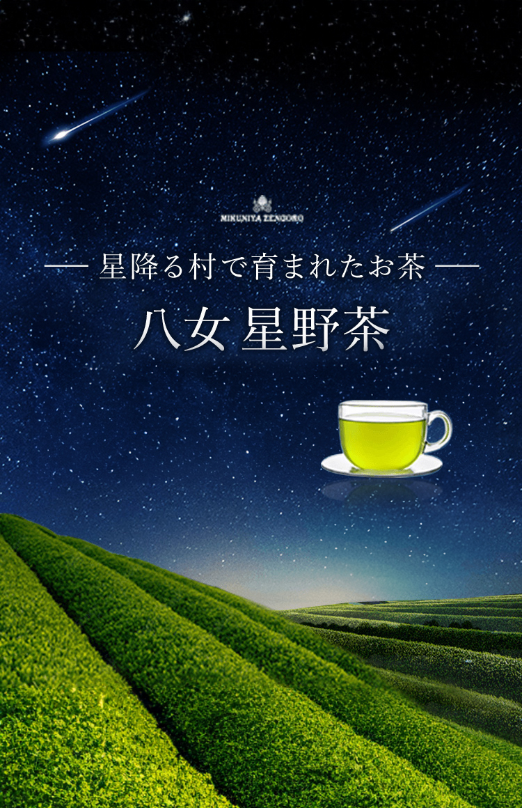 星降る里で育まれたお茶「星野茶」の販売を開始します